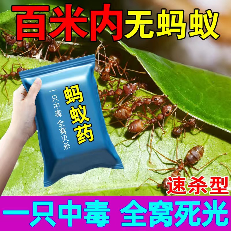 【杀不死包退】强效蚂蚁药粉家用厨房室内野外菜地强力灭蚁一窝端