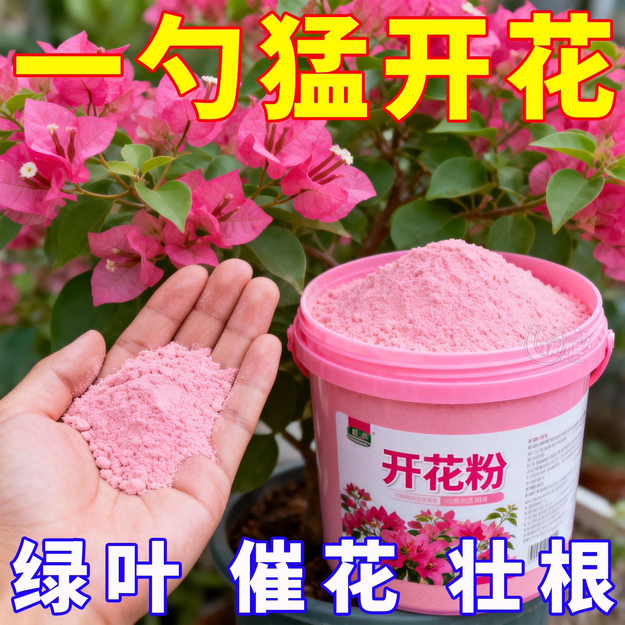 家用正品强效快速开花粉通用型玫瑰月季花爆花盆栽花卉植物通用型,鲜花速递/花卉仿真/绿植园艺,家庭园艺肥料,淘宝优惠券,粉丝福利购,淘宝优惠卷