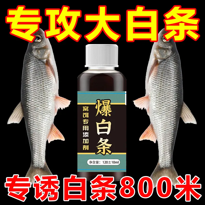爆白条钓鱼小药白条鱼饵料野钓春夏季专攻白条餐条翘嘴马口窝料剂