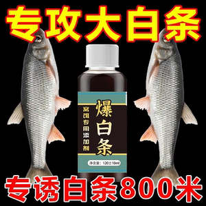 爆白条钓鱼小药白条鱼饵料野钓春夏季专攻白条餐条翘嘴马口窝料剂