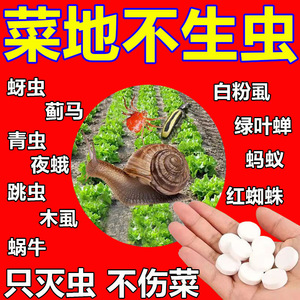 糖化硼肥片园艺驱虫防虫片除蚜虫蓟马白粉虱盆栽果花卉植物防烂根