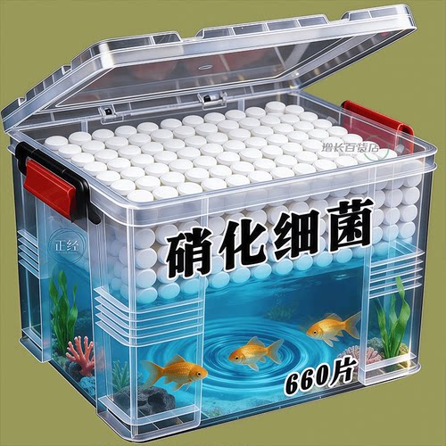 净化水质【分解鱼粪】除藻除腥臭