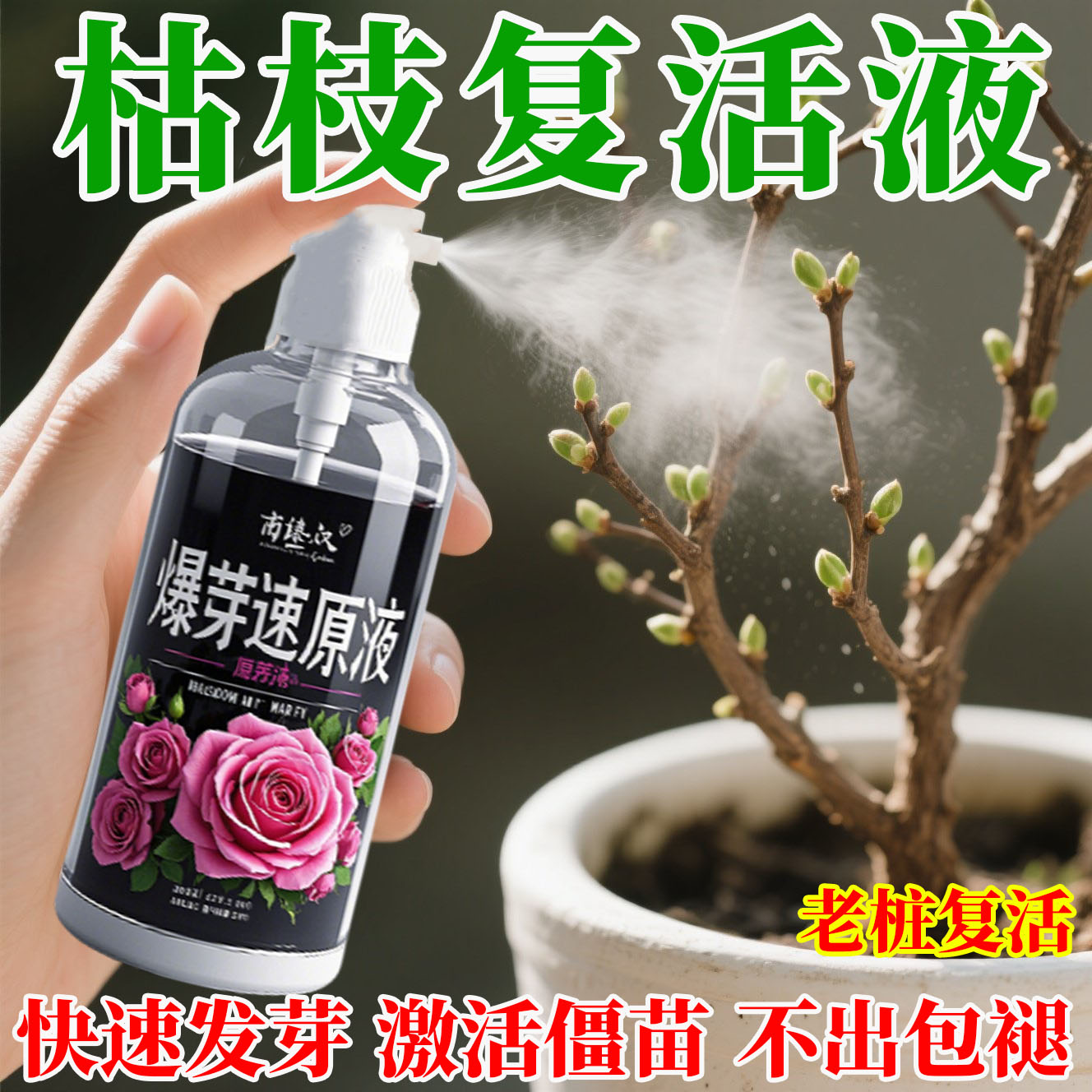 新款高浓缩爆芽速原液促催素牙分化三角梅兰花植多肉植物暴通用型