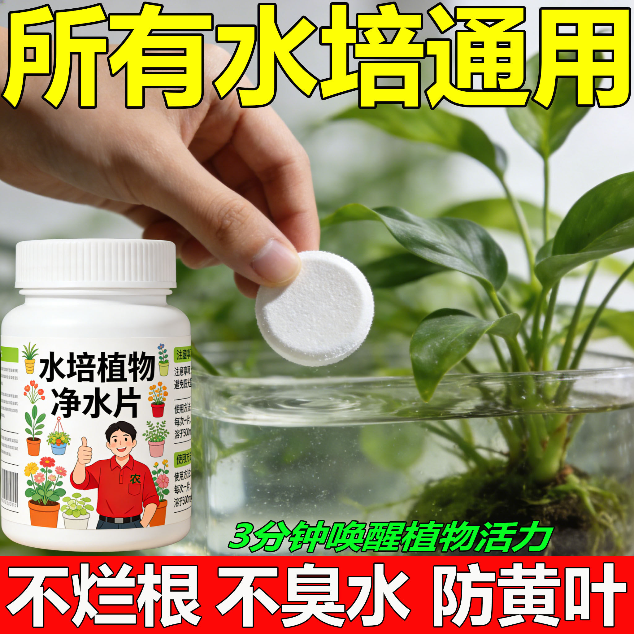 水培植物净水片除臭杀菌消毒鲜花花卉保鲜剂碗莲除藻专用净化水质