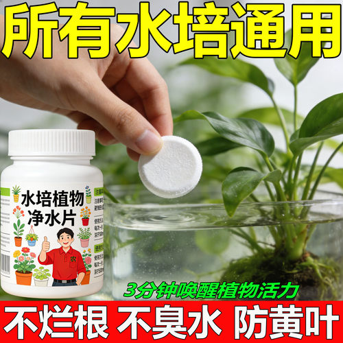 水培植物净水片除臭杀菌消毒鲜花花卉保鲜剂碗莲除藻专用净化水质