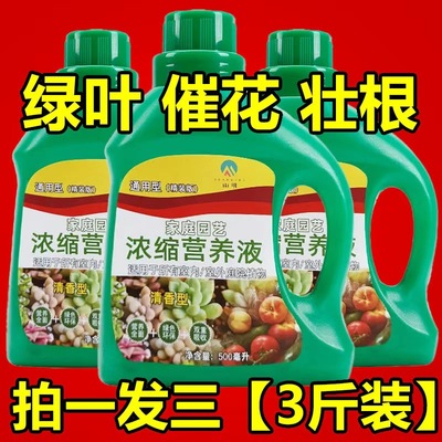 营养液植物通用型花肥发财树富贵竹绿萝水培盆栽家用花卉养花肥料