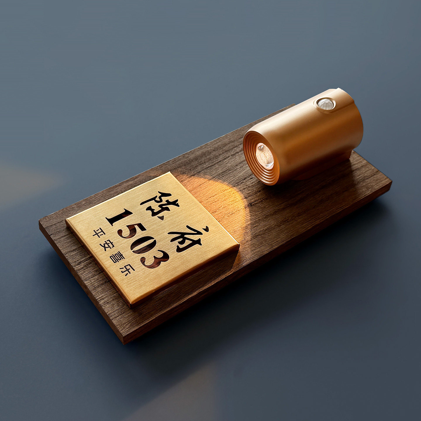 别墅门牌号码牌定制入户家用实木高级感轻奢创意2026新款感应灯数字牌子门口装饰自粘发光房间高端大气门号牌