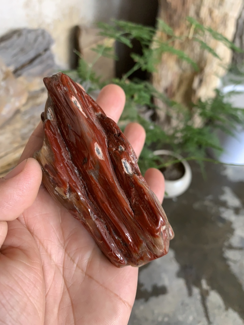 缅甸树化玉手把件高9/宽4.5/厚4.5厘米