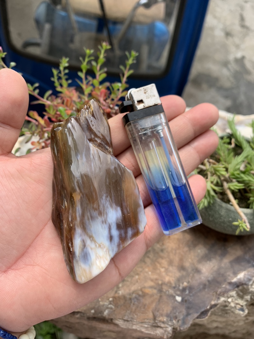 缅甸树化玉手把件