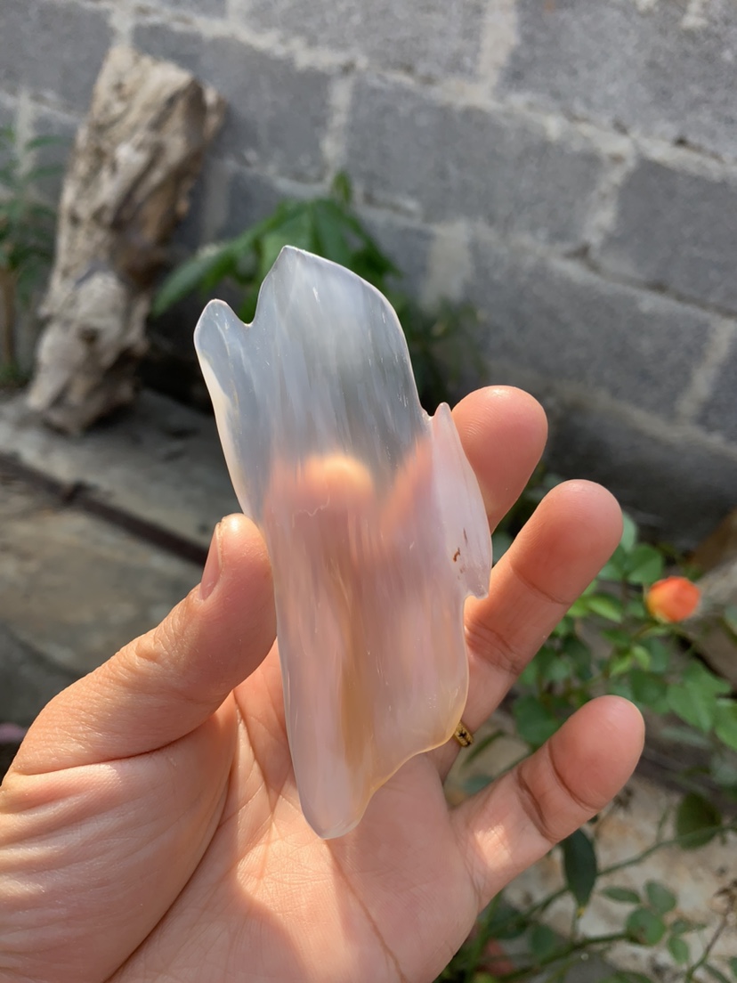 缅甸树化玉手把件，挂件“白料”高10/宽4/厚0.5厘米