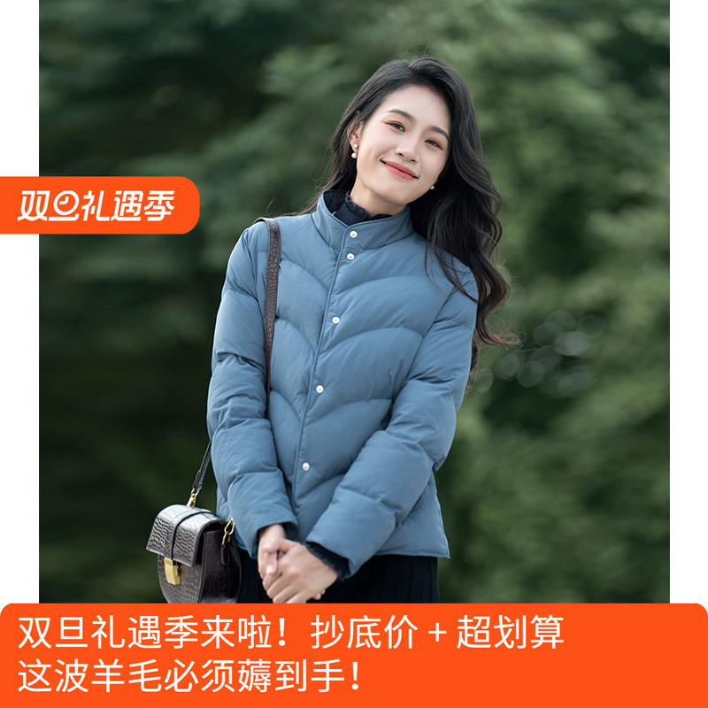 蓝色复古小众立领羽绒棉衣女