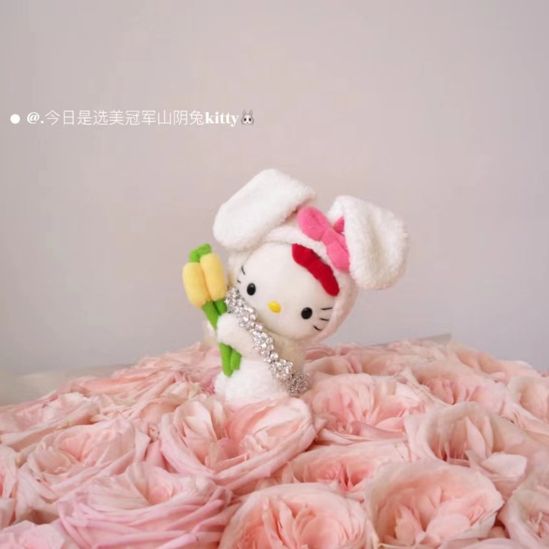 拾麦穗小兔子山阴兔包包