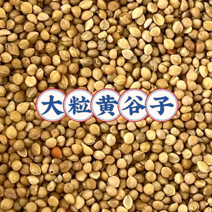 新大粒黄谷子带壳小米虎皮牡丹玄凤中小型鹦鹉文鸟鸟食鸟粮包邮