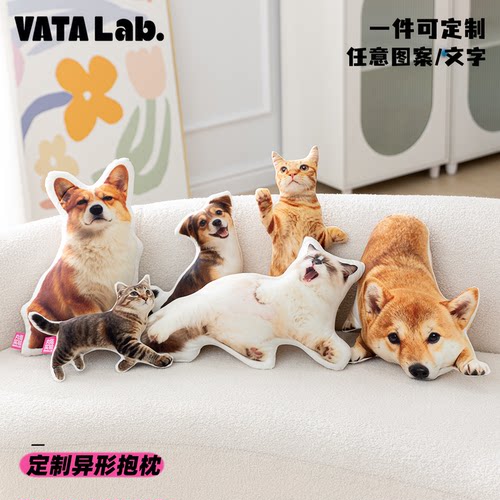丸塔 来图定制异形抱枕diy定做可印明星宠物照片丑猫靠枕公仔礼物