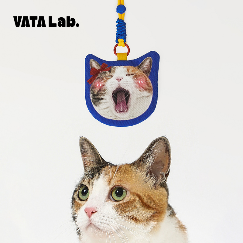丸塔实验原创手作可爱猫猫宠物迷你定制挂包耳机零钱包钥匙包