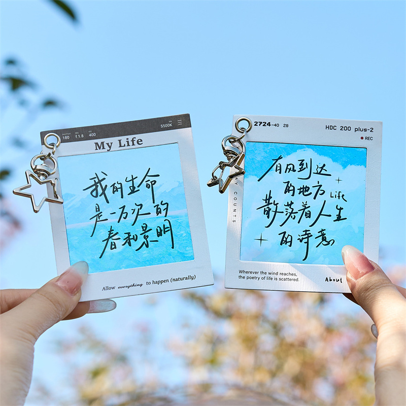 穿越旷野得风系列pet反转片挂件