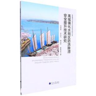 【书】 高城镇化水网区防洪除涝安全提 9787563075065 河海大学出版社