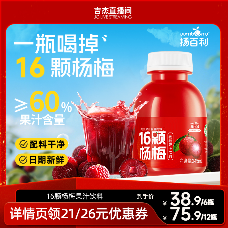 扬百利杨梅汁冰镇饮料