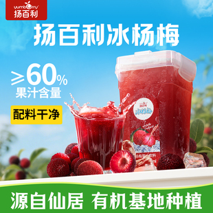 扬百利仙居杨梅汁380ml*6瓶饮料果汁饮品酸梅汤儿童孕妇果蔬汁