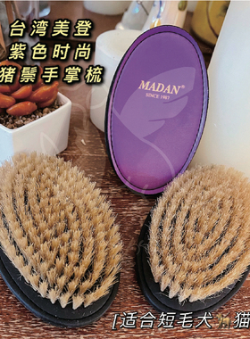 AngelPet台湾美登猪鬃手柄梳紫色时尚款 短毛犬猫梳理浮毛按摩梳