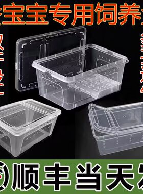 【顺丰当天发】养蚕专用盒养蚕专用的盒子透气饲养盒蚕宝宝饲养箱