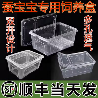 【顺丰当天发】养蚕专用盒养蚕专用的盒子透气饲养盒蚕宝宝饲养箱