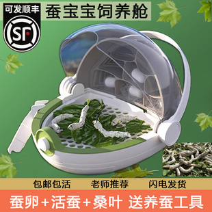 蚕宝宝学生养蚕套装蚕卵幼虫新鲜桑叶专用盒全套工具太空舱饲养箱