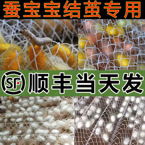 【顺丰当天发】蚕宝宝结茧网吐丝方格簇结茧盒架子专用养蚕结茧网