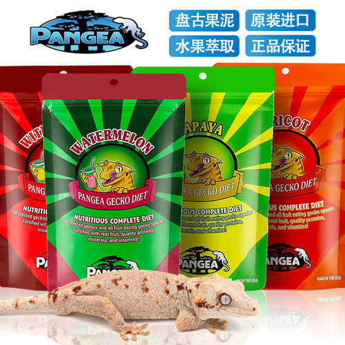 盘古果泥pangea饲料睫角守宫果泥