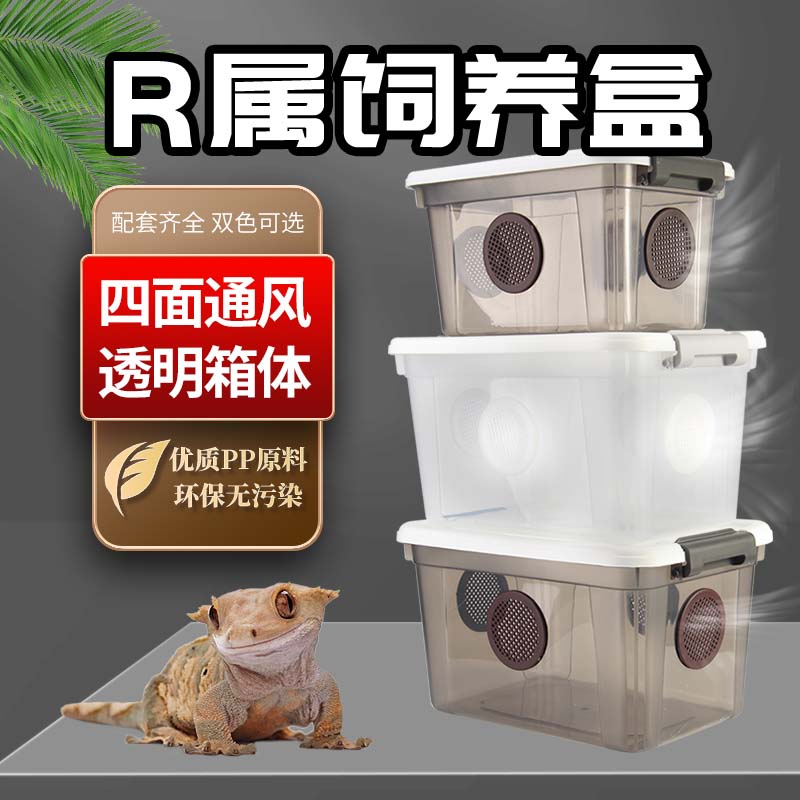 盖勾亚饲养盒婕角R属饲养盒