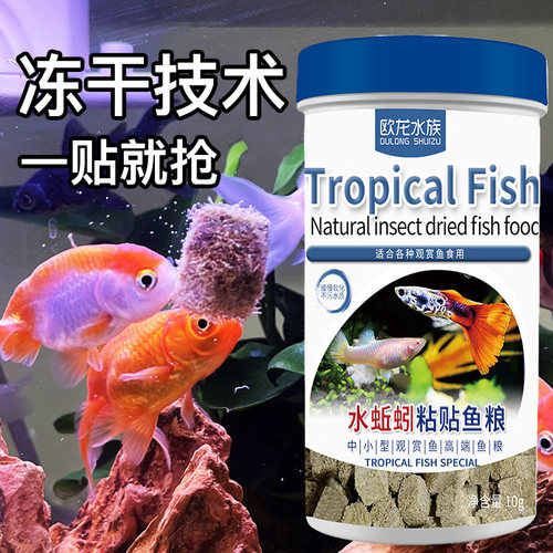 观赏鱼饲料鱼食水蚯蚓粘贴鱼粮热带鱼金鱼锦鲤灯科鱼鱼虫干孔雀鱼
