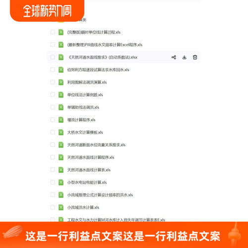 水文计算调洪演算现成vba都做好