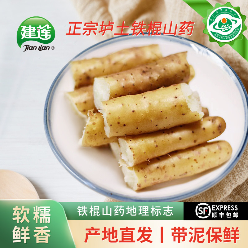 【源产地直发】正宗河南焦作温县垆土铁棍怀山药新鲜5斤铁杆淮山