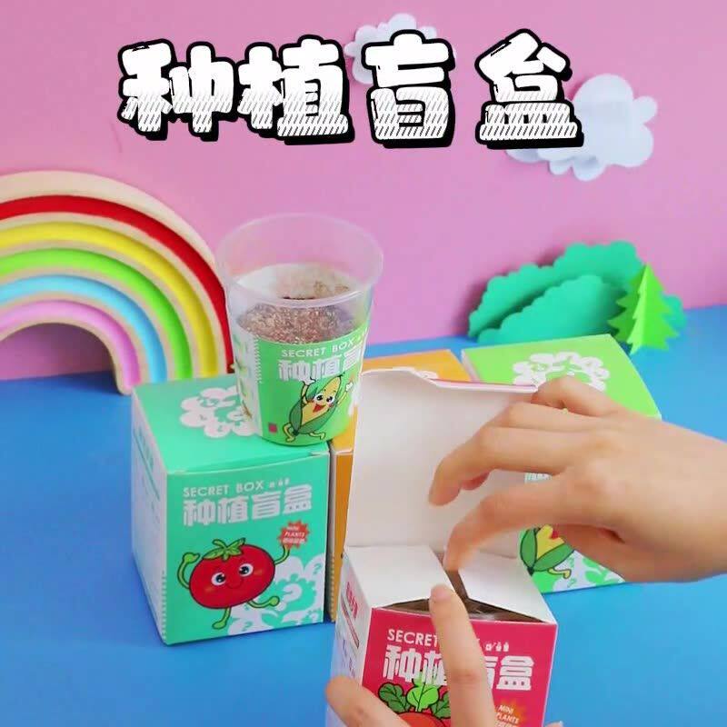 植物盆栽盲盒创意桌面摆件小盆栽