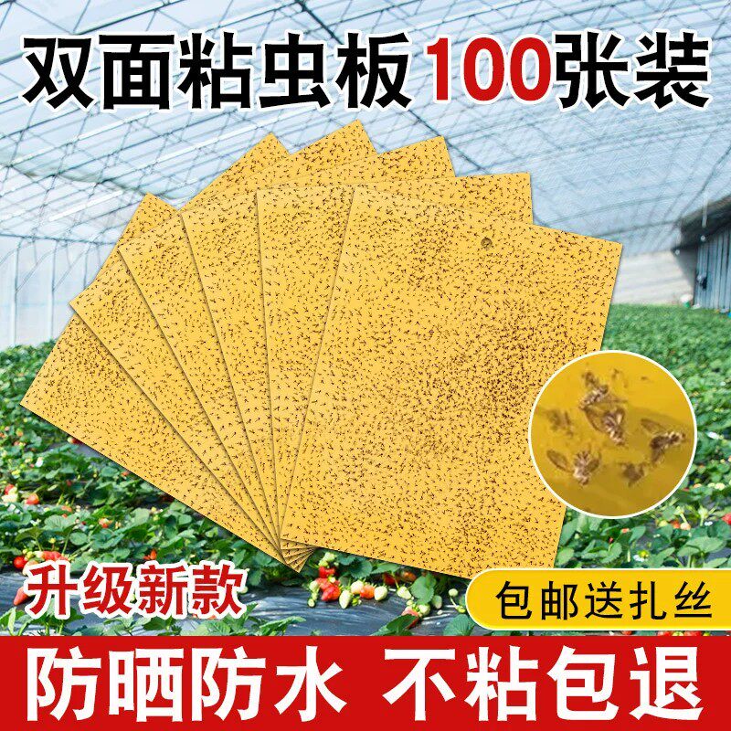 黄板双面粘虫板家用庭院蓟马大棚