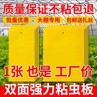 粘虫板黄板双面小飞虫灭杀神器大棚灭苍蝇贴纸果园果蝇蚊子诱捕器
