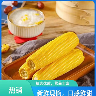 吉林老字号东北英俊甜糯玉米真空包装整箱发货(8根)