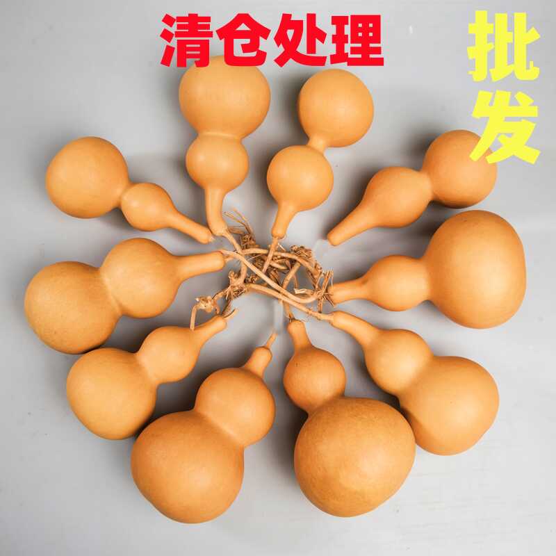 学生学校用葫芦高度9-13厘米亚腰