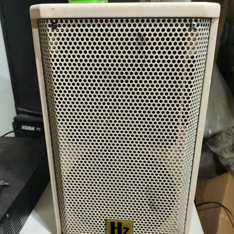 可维修闲置8寸宏志音箱，国货之其它元器件