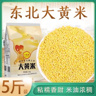 东北大黄米新米5斤包粽子黏米粘黄米饭粘豆包黍米五谷杂粮糯小米