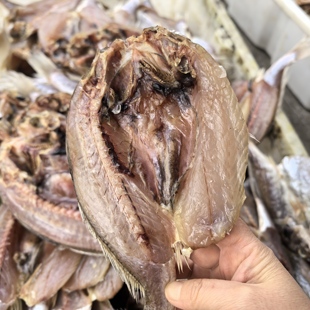 台州特色松门鱼鲞白梅鱼鲞海鲜干货渔民自晒老鼠嘴白果鲤干