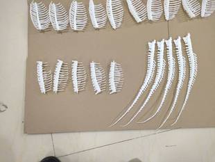 SLA打印 moai SLA光固化打印机form1 form1