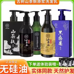 广西茶氏家族洗发水古树山茶麸原浆黑桑果酵素控油蓬松去屑淘米水