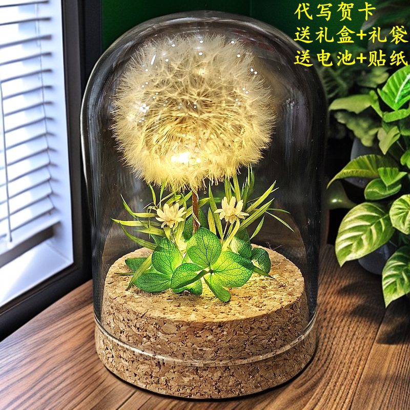 永生花蒲公英小夜灯摆件生日礼物