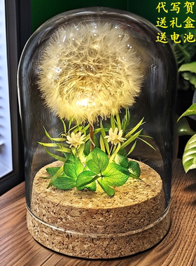 永生花蒲公英小夜灯摆件生日礼物