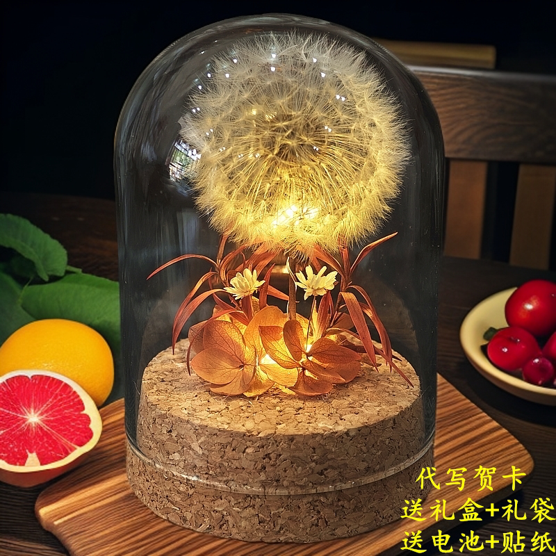 夜灯永生干花蒲公英摆件生日礼物