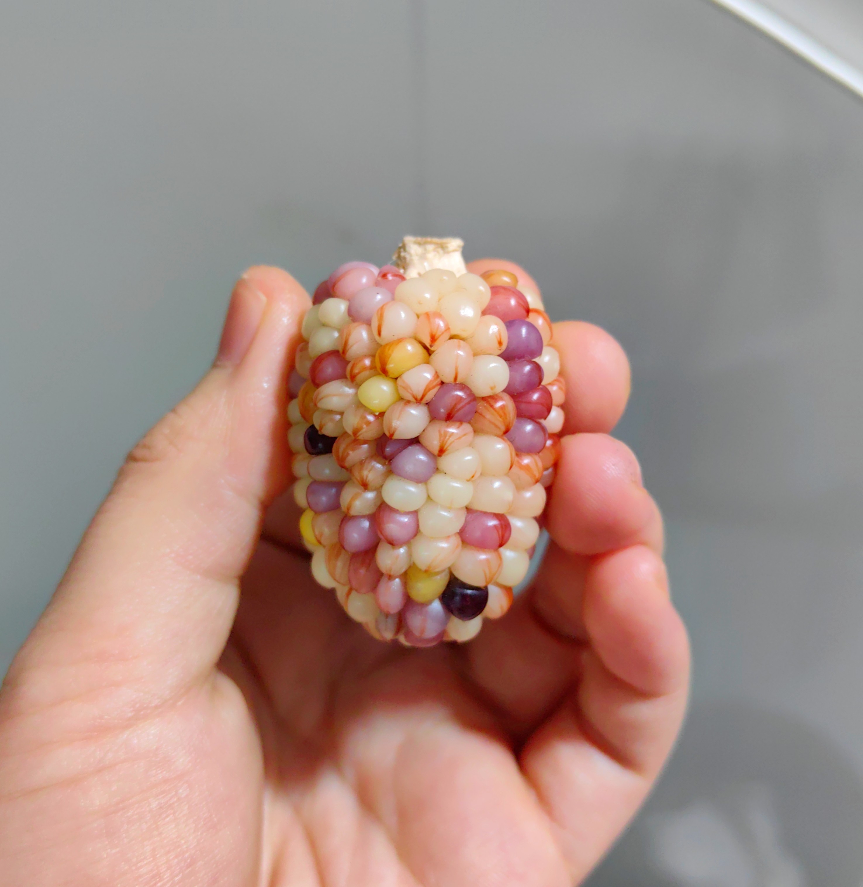 天然手工文玩玉米手把件玉化透光款盘玩解压车载挂饰收藏生日礼物