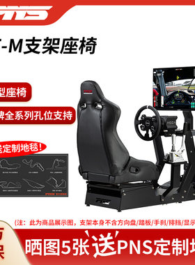 赛车模拟器赛车模拟器PNS