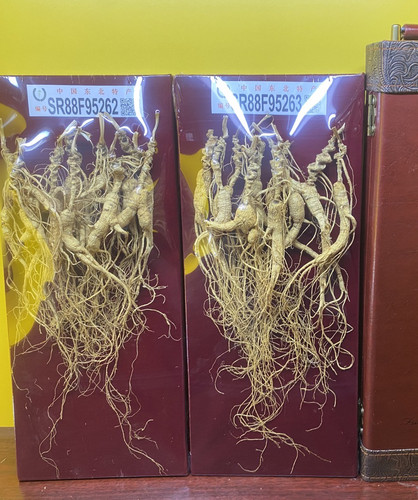 30年豪华特价包邮林下参