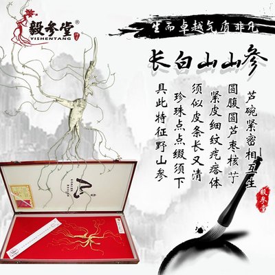 长白山高档野山参